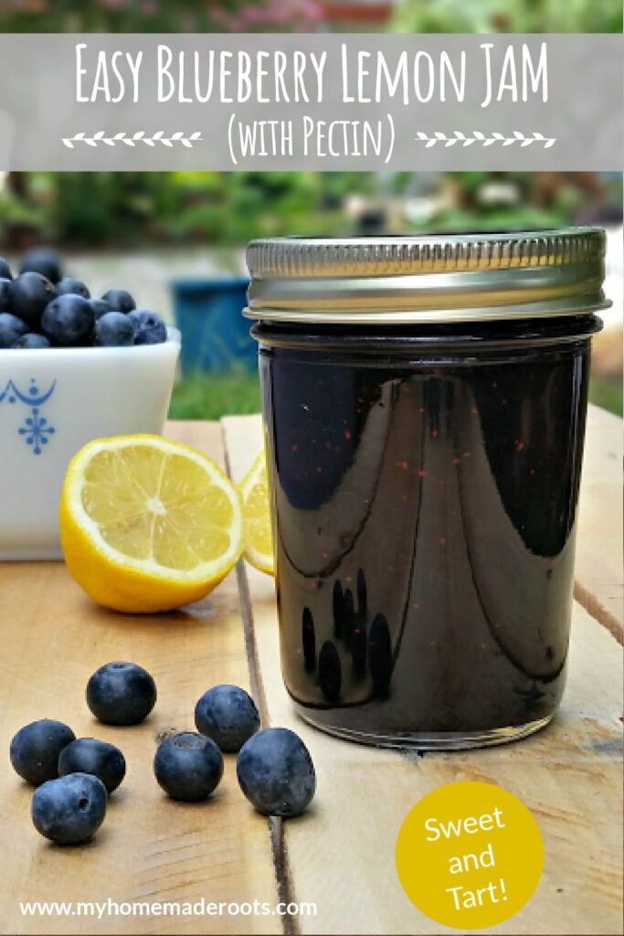 Easy Homemade Blueberry Lemon Jam