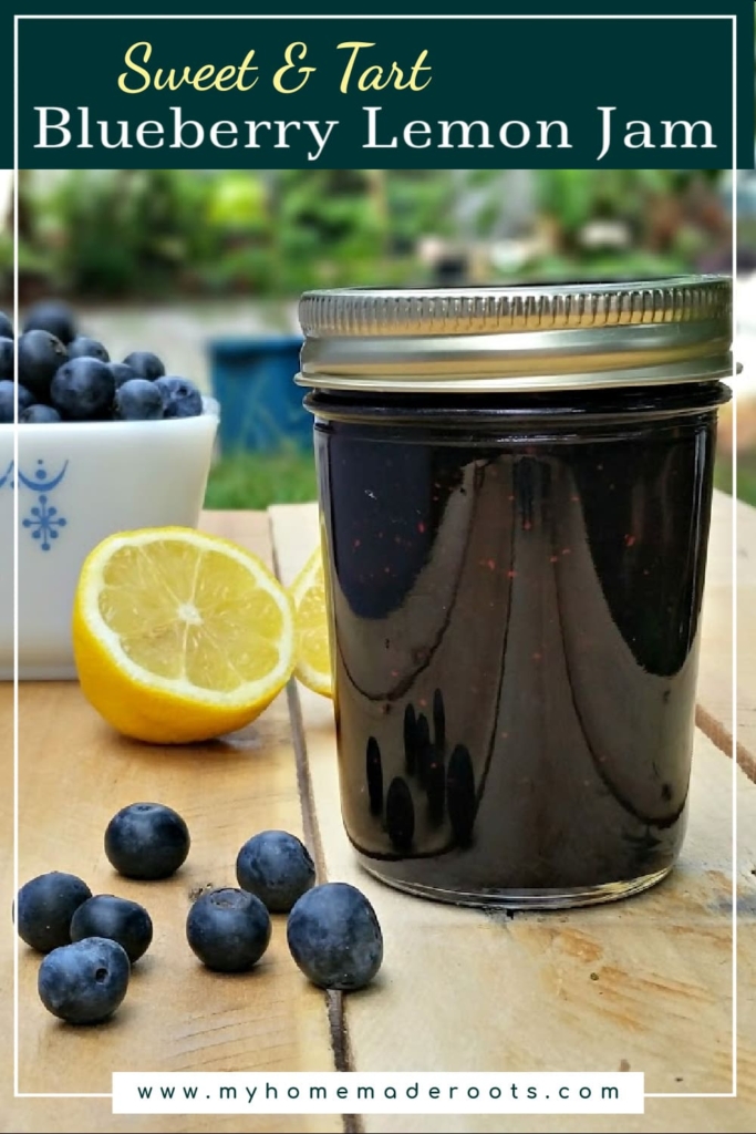Blueberry Lemon Jam - My Homemade Roots