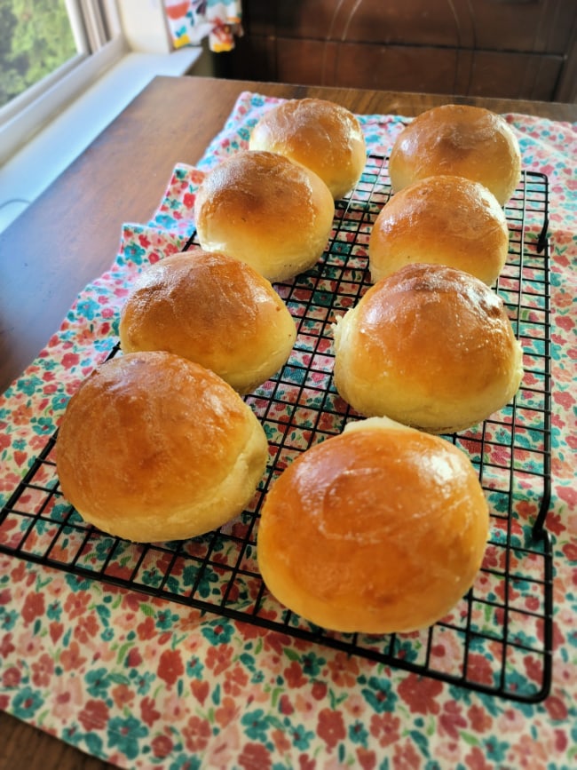 Quick and Easy Homemade Hamburger Buns