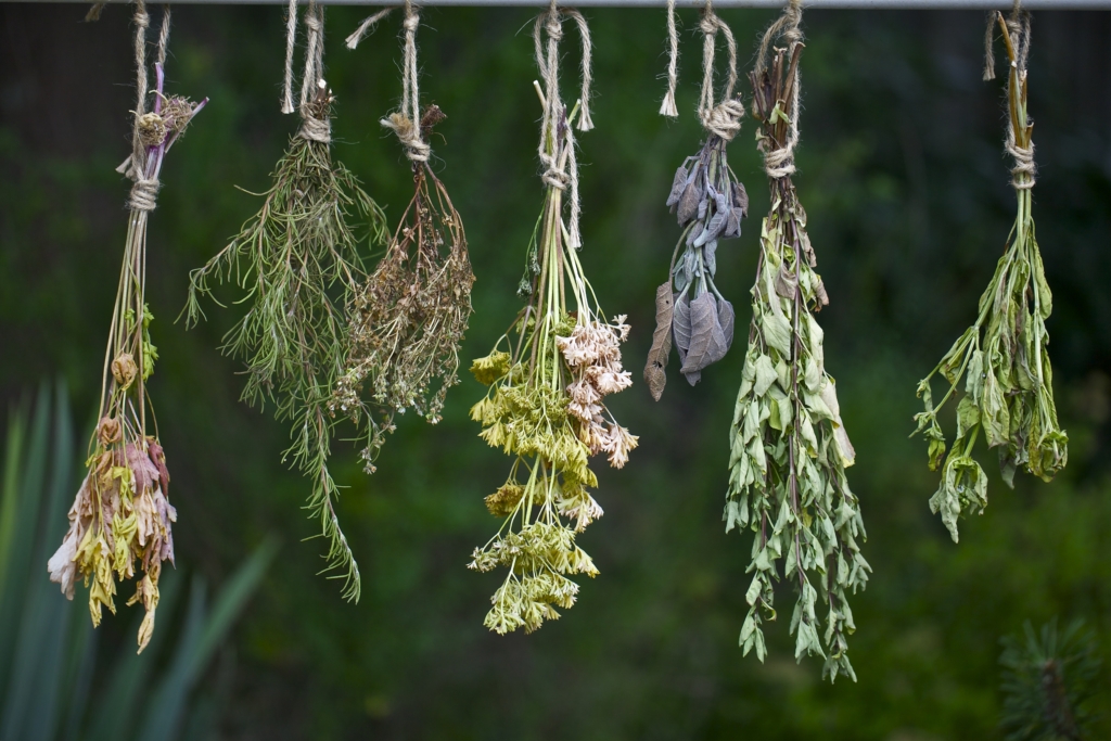 7 Reasons to Grow a Patio Herb Garden