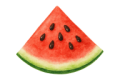 Watercolor Watermelon