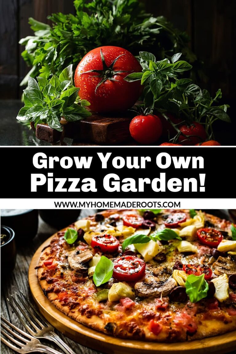 Grow Your Own Pizza-Themed Garden