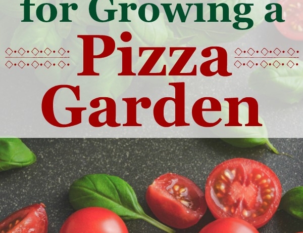 Ideas and Tips for Growing a Pizza Garden