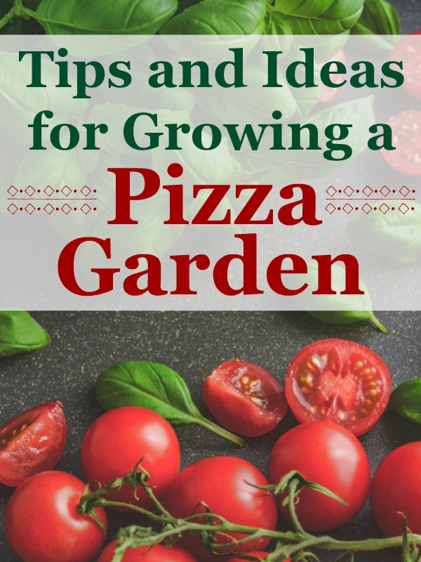 Ideas for Growing a Pizza Garden My Homemade Roots
