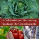 Old-Fashioned Gardening Tips from our Grandparents