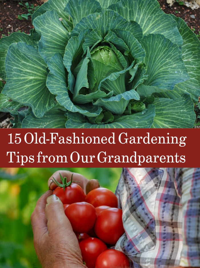 Old-Fashioned Gardening Tips from our Grandparents