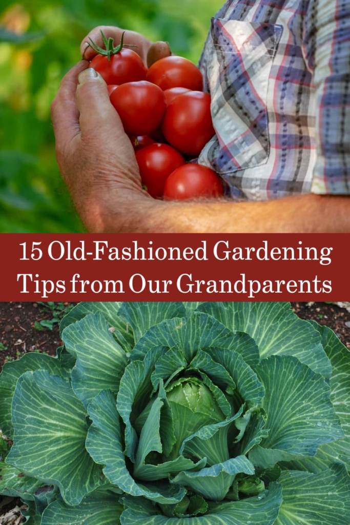 Old-Fashioned Gardening Tips from our Grandparents