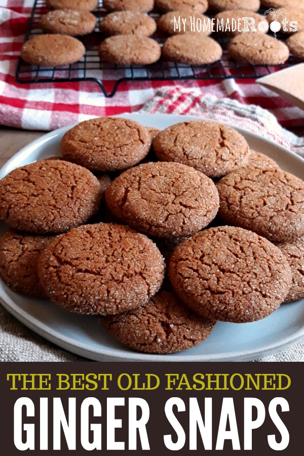 The Best Old-Fashioned Ginger Snap Cookies