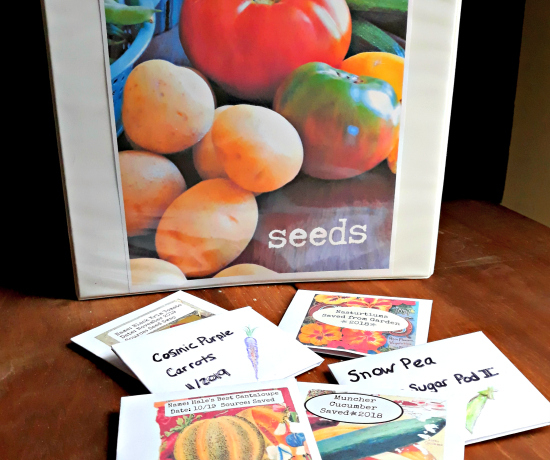 Seed Storage Binder and Handmade Seed Packets