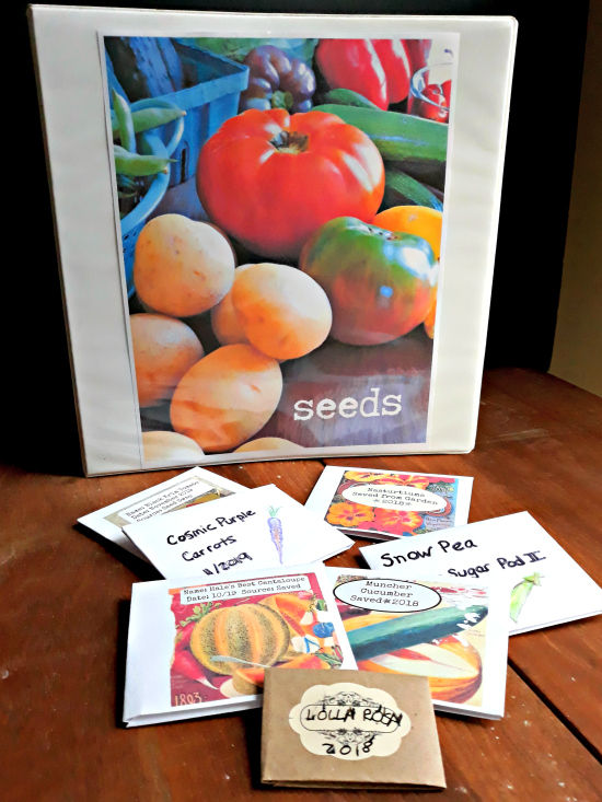 DIY Summer Garden Seed Packet Organizer Tutorial