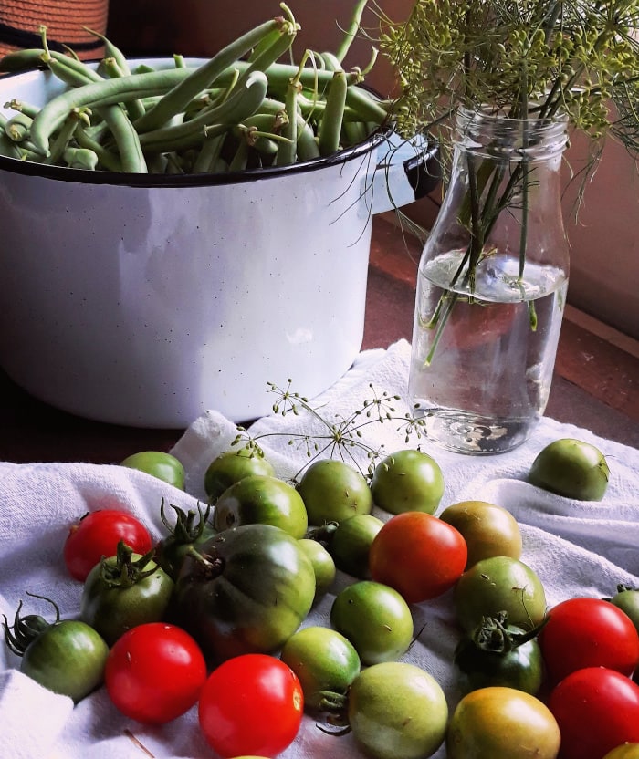 Vegetables harvested from victory garden