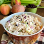 Bowl of Cranberry Apple Chicken Salad