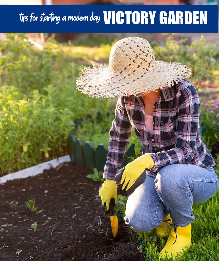 Woman digging in a modern victory garden