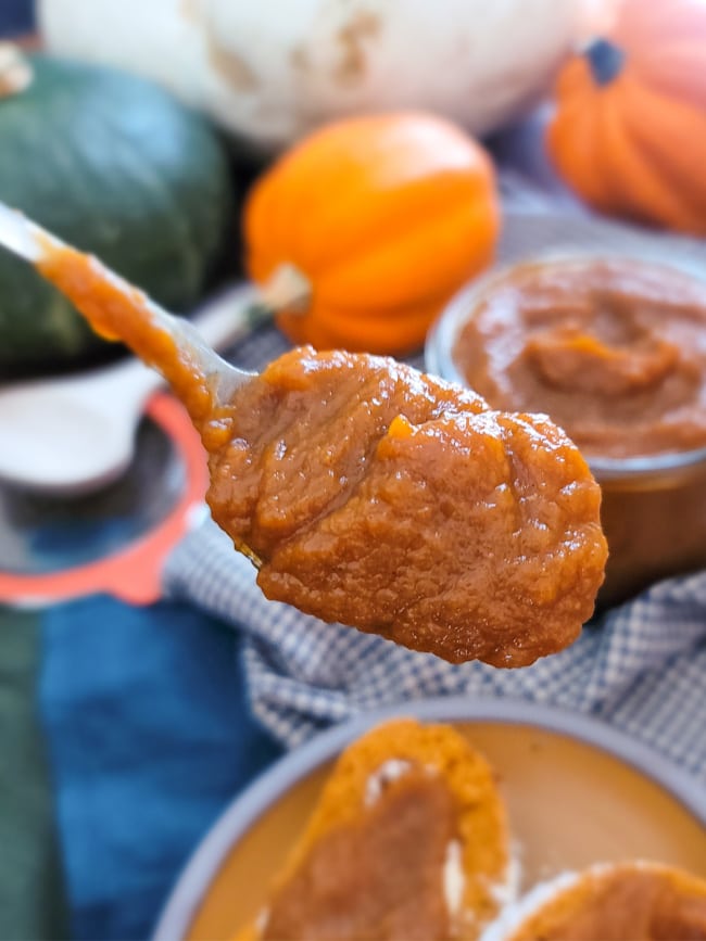 A spoonful of homemade pumpkin butter