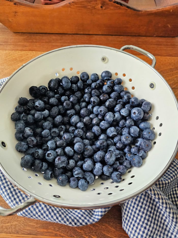 Blueberries for Blueberry Lemon Jam