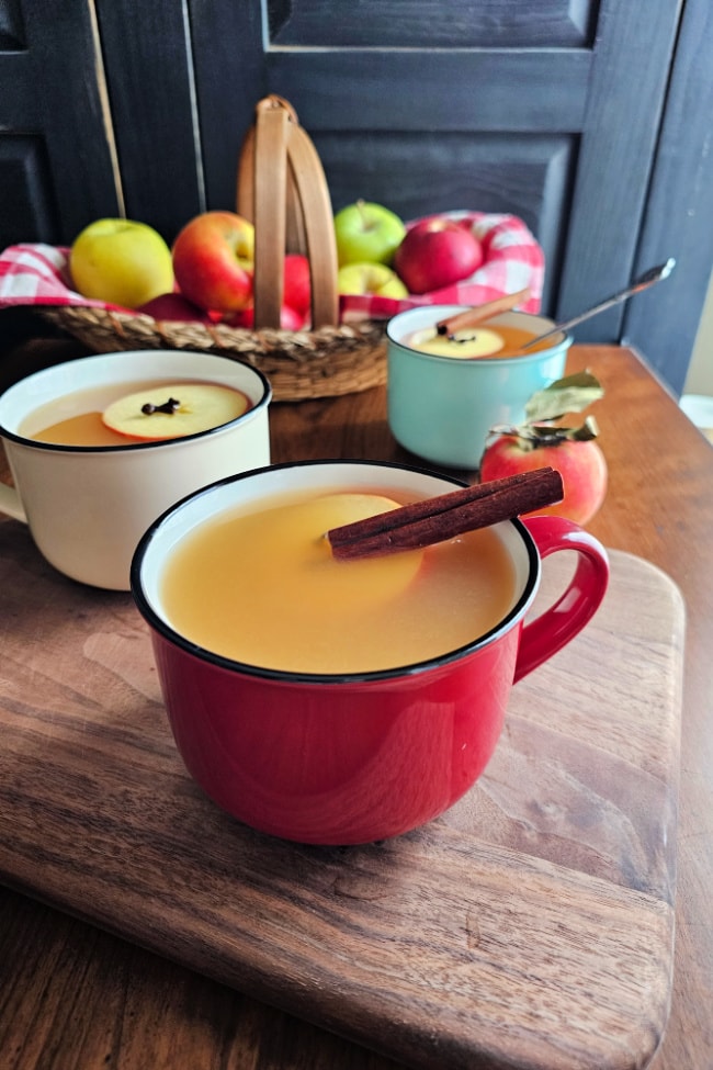 Old Fashioned Hot Spiced Apple Cider
