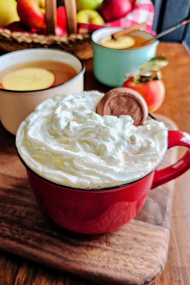 Old Fashioned Hot Mulled Apple Cider